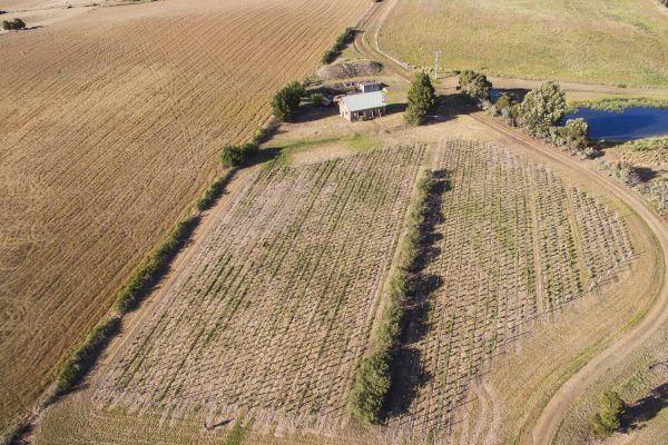 Cottage aerial